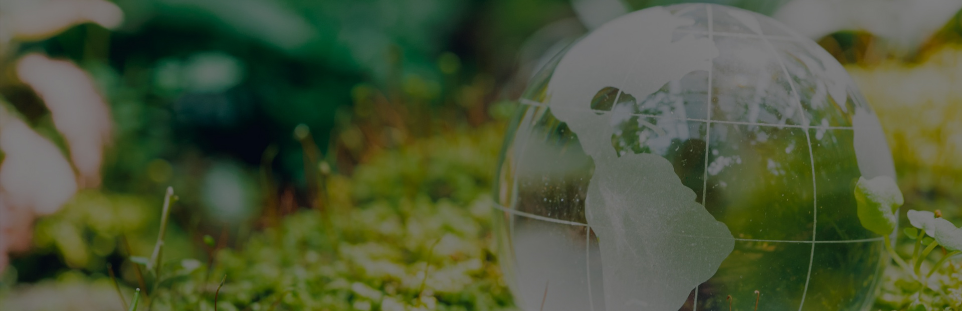 Sicherheit, Effizienz, Umweltschutz und Innovation